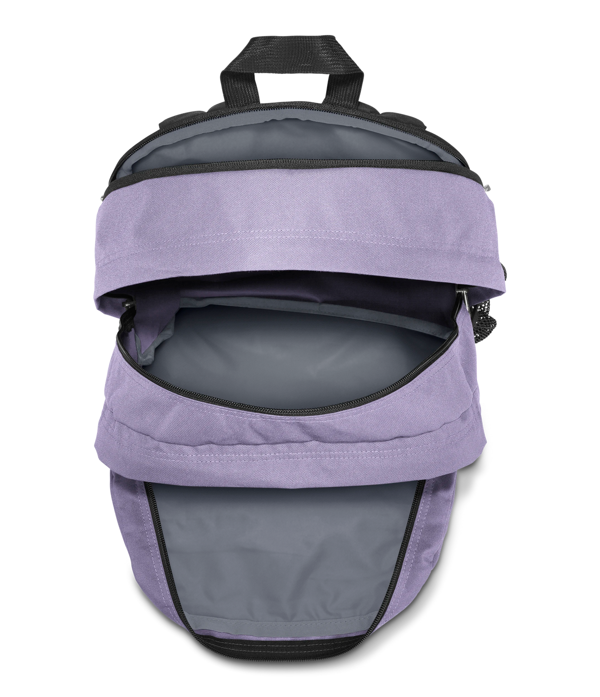 Big Student - Pastel Lilac