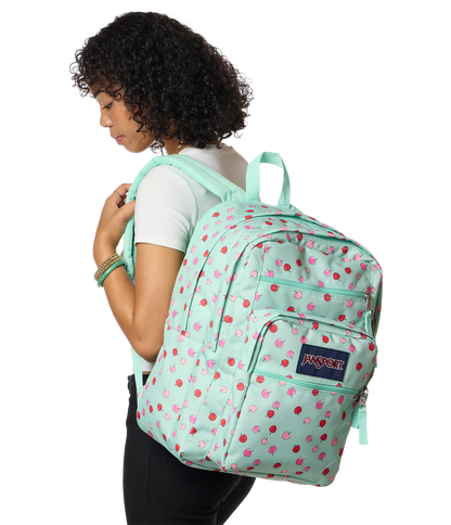 Big Student - Apple Orchard Magic Mint
