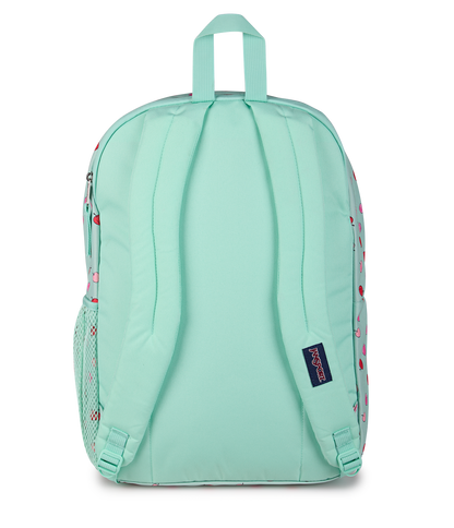 Big Student - Apple Orchard Magic Mint
