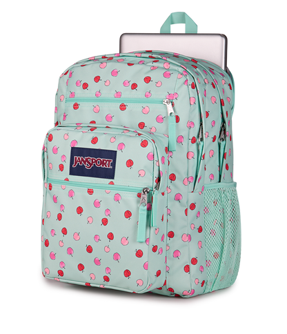 Big Student - Apple Orchard Magic Mint