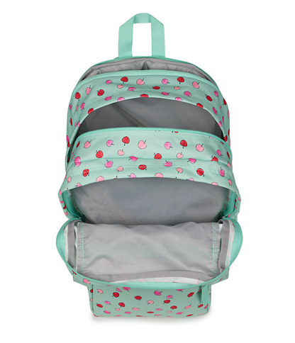Big Student - Apple Orchard Magic Mint