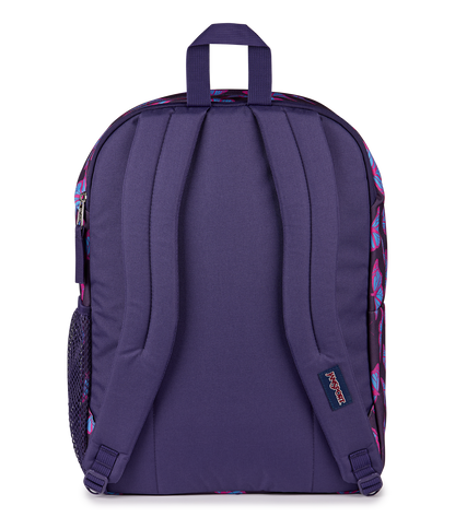 Big Student - Flutter By Purple