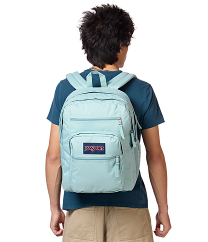 Big Student - Faded Sage