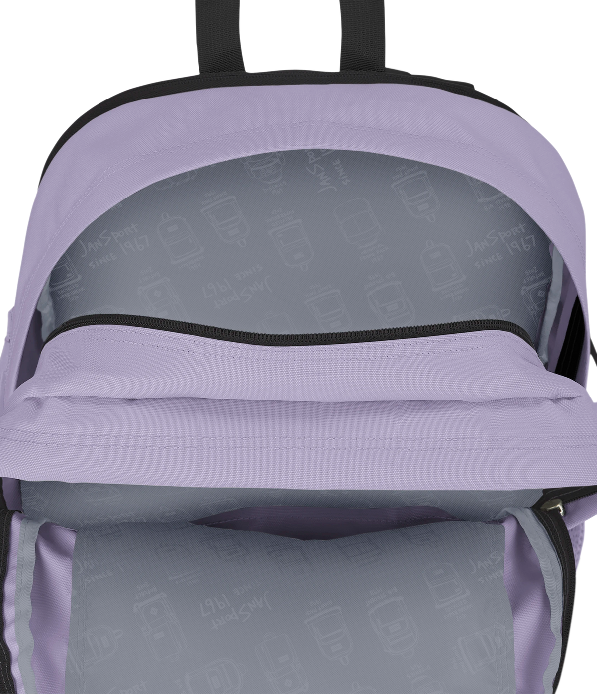 Main Campus - Pastel Lilac